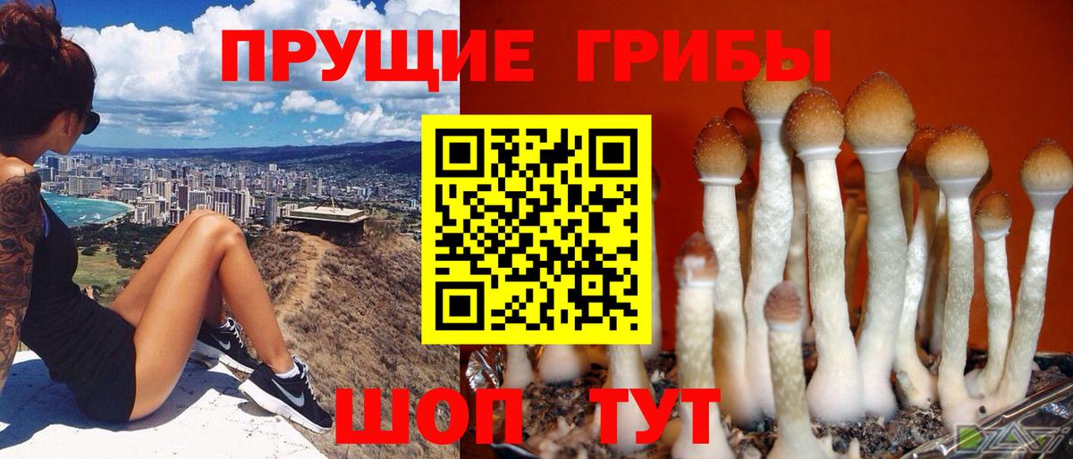 Псилоцибиновые грибы Cubensis Южно-Сахалинск